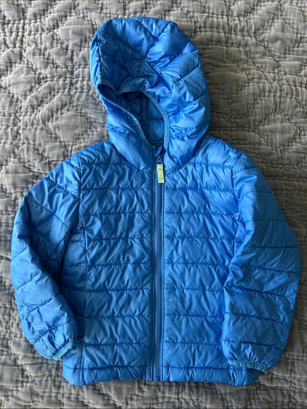Primary Bright Blue Hooded Puffer Jacket 4T